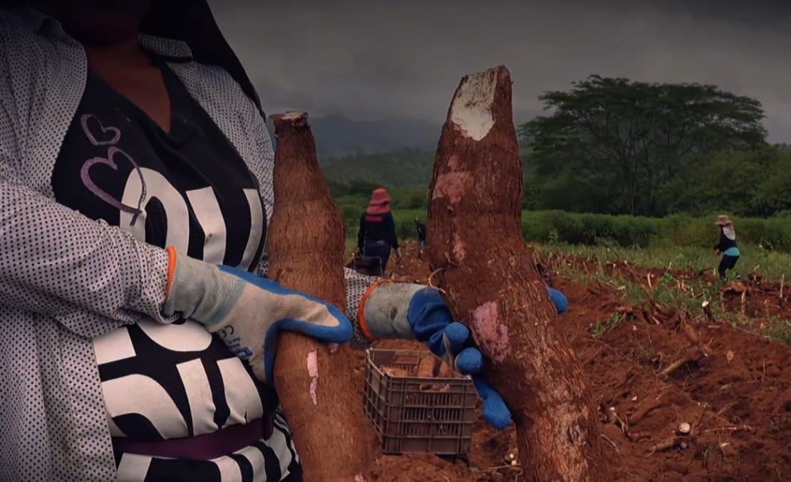 SAG fortalece el desarrollo y la autonomía de la mujer rural con entrega de capital semilla...